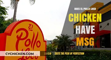Does El Pollo Loco Chicken Contain MSG? The Truth Revealed