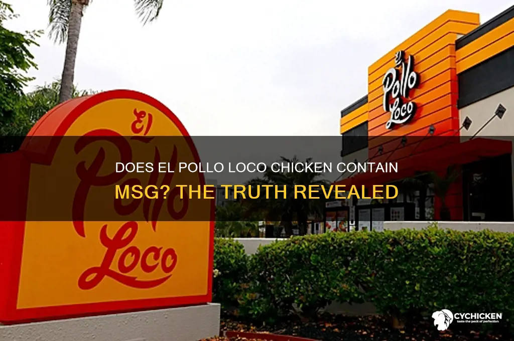 does el pollo loco chicken have msg