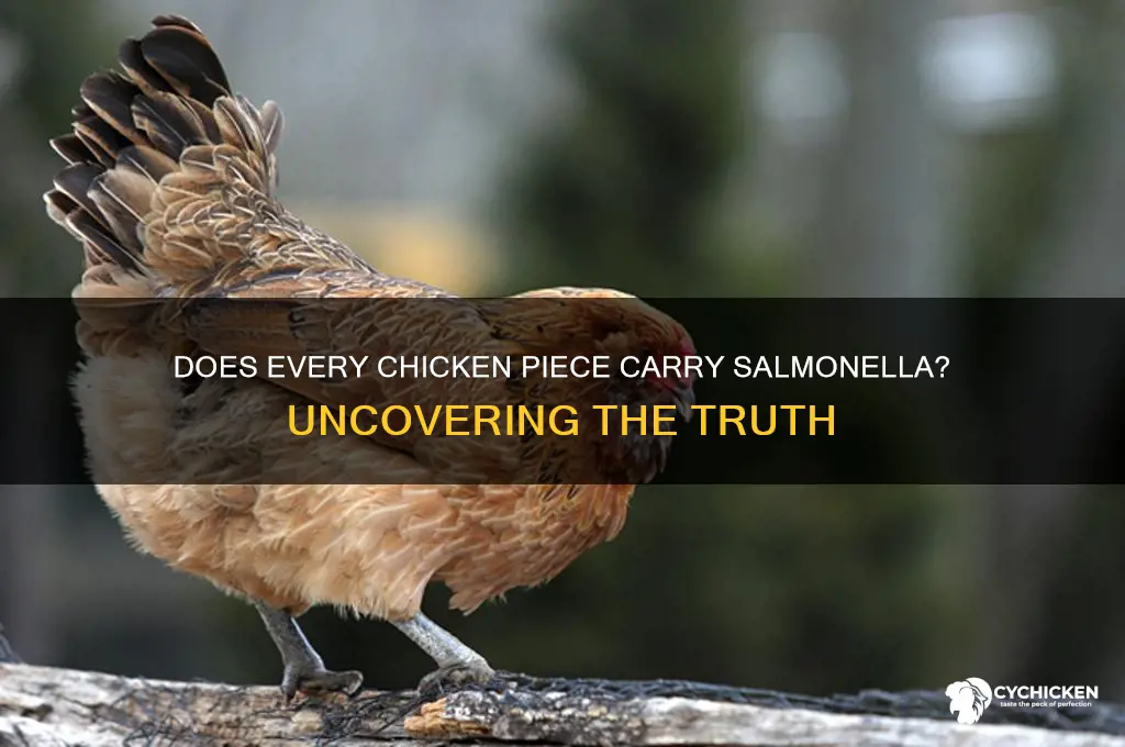 does every piece of chicken have salmonella