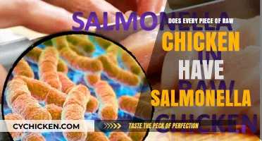Does Every Raw Chicken Carry Salmonella? Facts and Food Safety Tips