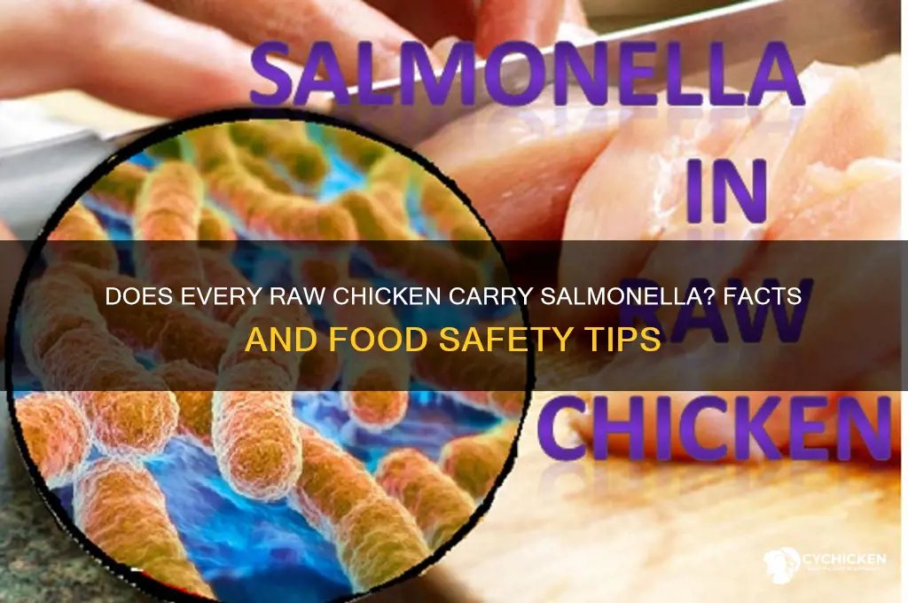 does every piece of raw chicken have salmonella