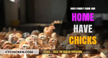 Family Farm and Home: Chick Availability and Seasonal Stock Updates