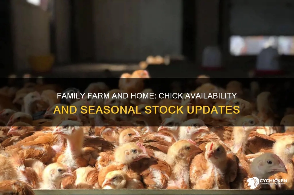 does family farm and home have chicks