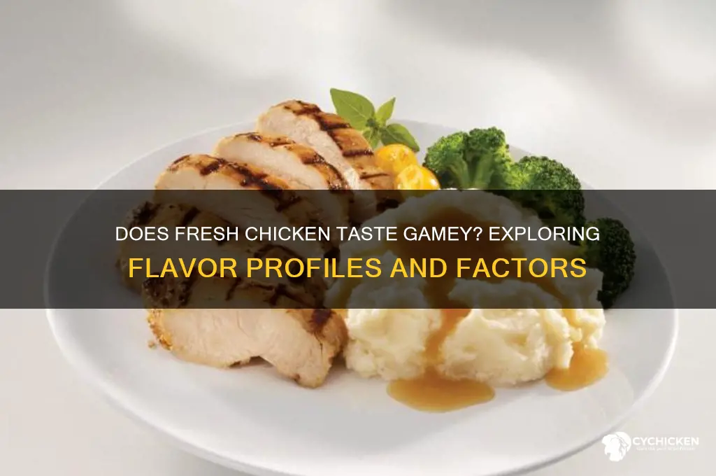 does fesh chicken have a gamey taste
