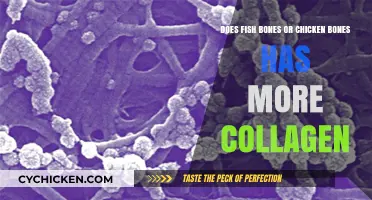 Fish or Fowl: Which Bones Boost Collagen?
