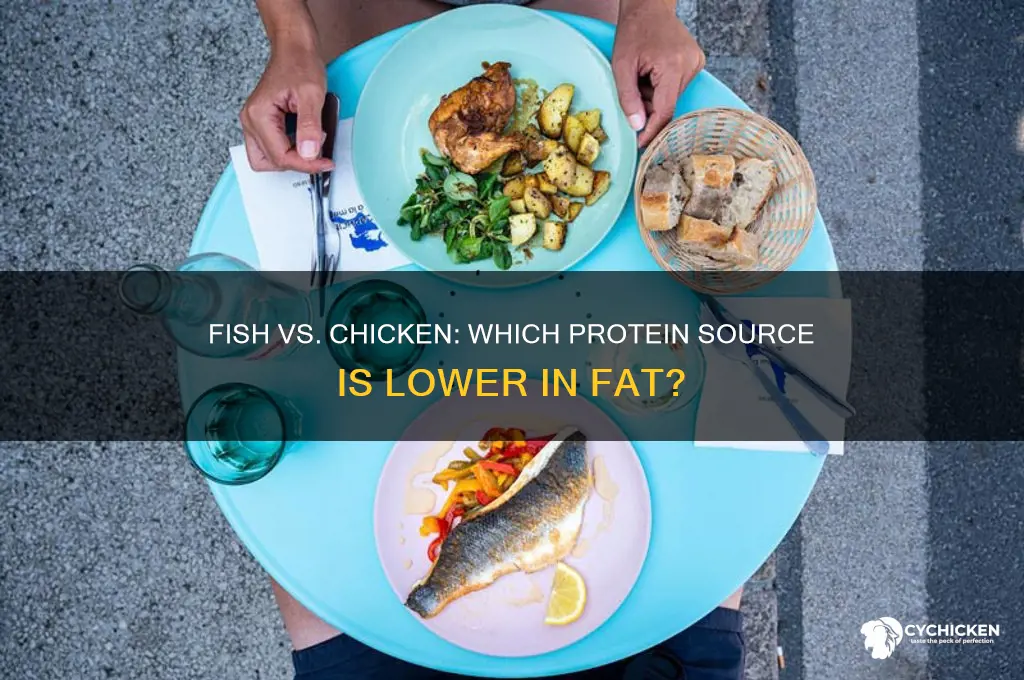 does fish have less fat than chicken
