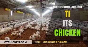 Does Foster Farms Add Solution to Its Chicken? The Truth Revealed