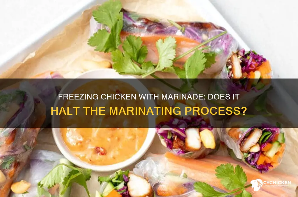 does freexing chicken with marinade stop marinade
