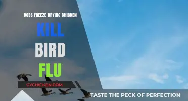 Freeze Drying Chicken: Effective Bird Flu Elimination Method or Myth?