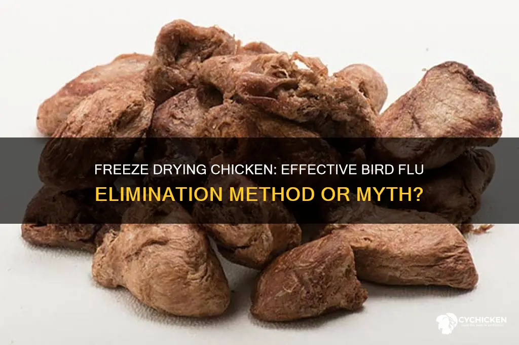 does freeze drying chicken kill bird flu