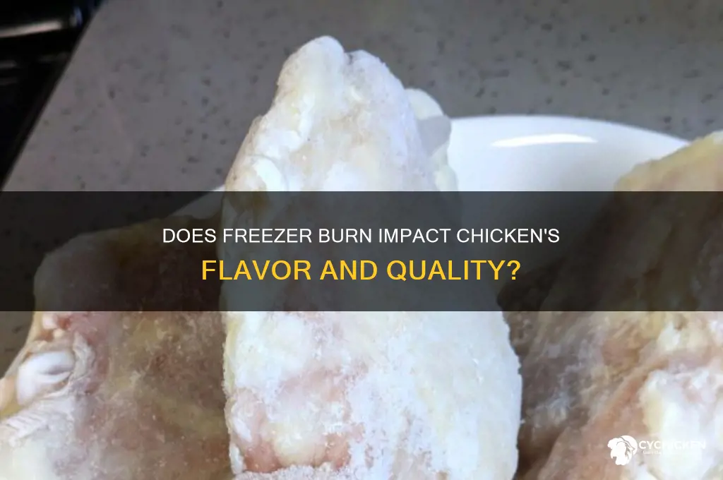 does freezer burn affect taste of chicken