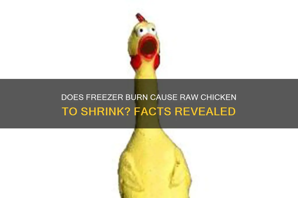 does freezer burning raw chicken shrink it