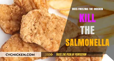 Freezing Chicken: Does It Eliminate Salmonella Risk Effectively?