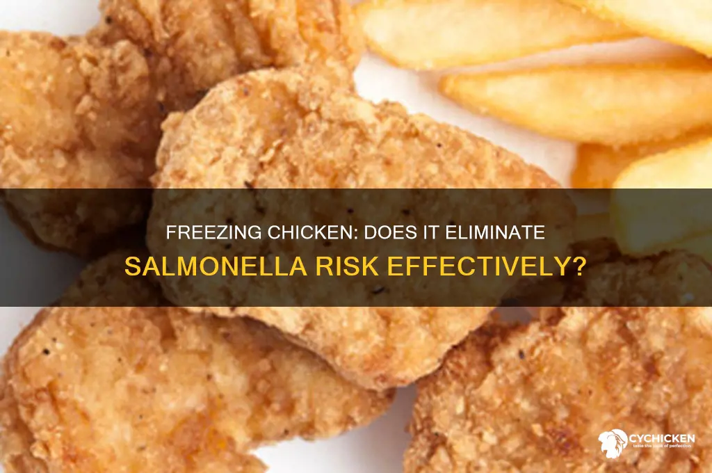 does freezing the chicken kill the salmonella