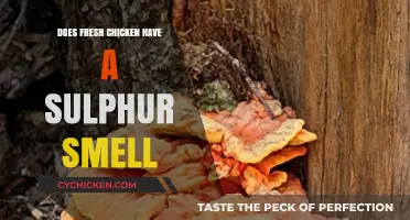 Does Fresh Chicken Smell Like Sulphur? Uncovering the Truth