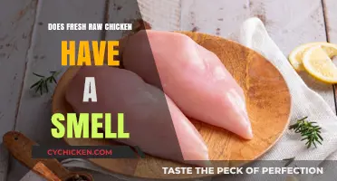 Does Fresh Raw Chicken Smell? Uncovering the Truth About Poultry Odor