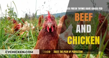Thyme's Grass-Fed Beef and Chicken: Fresh and Healthy Options
