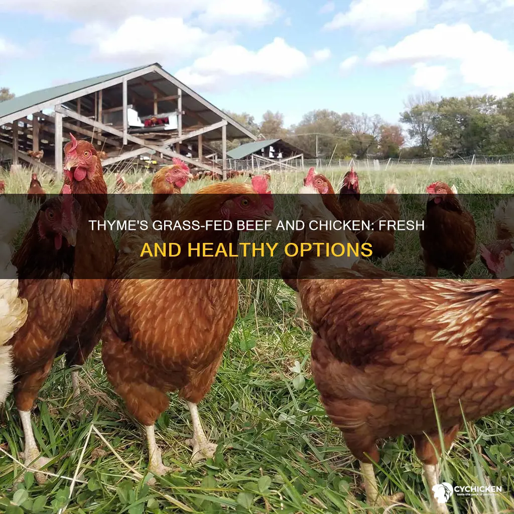 does fresh thyme have grass fed beef and chicken