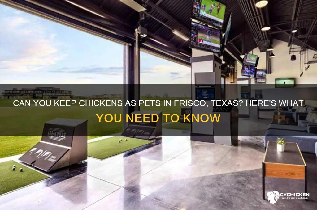 does frisco city allow chicken as pets