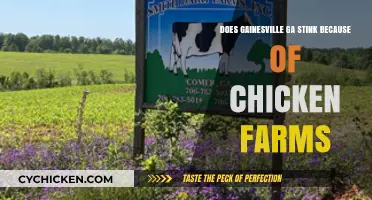 Does Gainesville, GA Smell Bad Due to Nearby Chicken Farms?