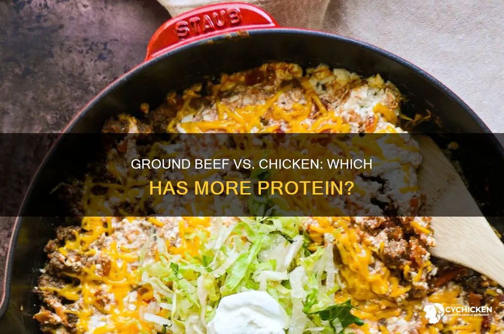 does ground beef have more protein than chicken