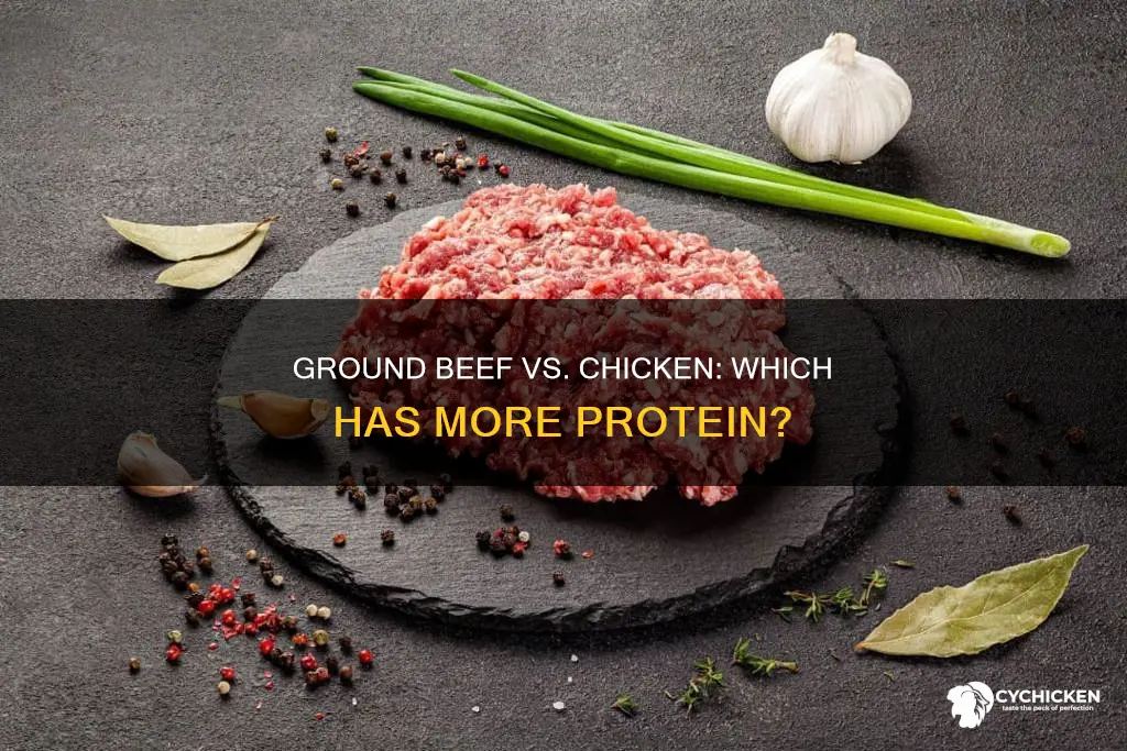 does ground beef or ground chicken have more protein