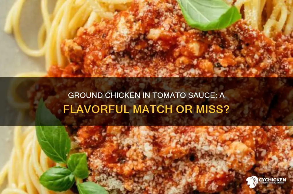 does ground chicken taste goid in tomato sauce
