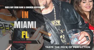 Guy Fieri's Chicken Joint in Miami, Florida