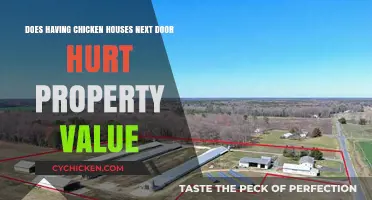 Chicken Farms: Property Value Impact?