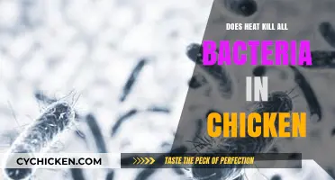 Does Heat Kill All Bacteria in Chicken? The Truth Revealed