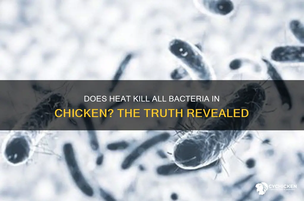 does heat kill all bacteria in chicken