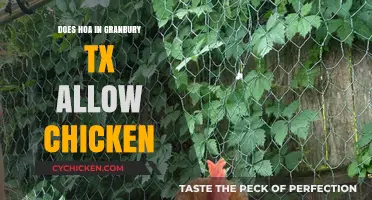 Can You Keep Chickens in Granbury, TX? HOA Rules Explained