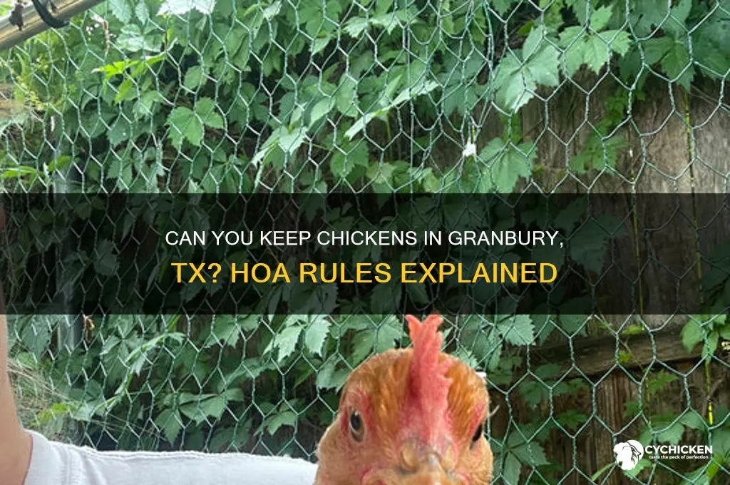 does hoa in granbury tx allow chicken