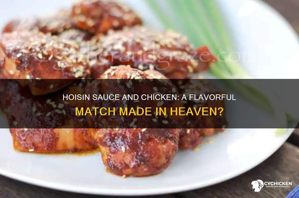 does hoisin sauce go with chicken