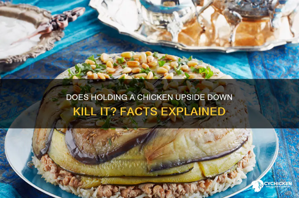 does holding a chicken upside down kill it