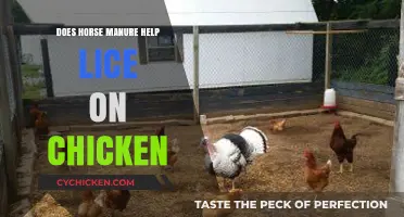 Horse Manure for Chicken Lice: Effective Treatment or Myth?