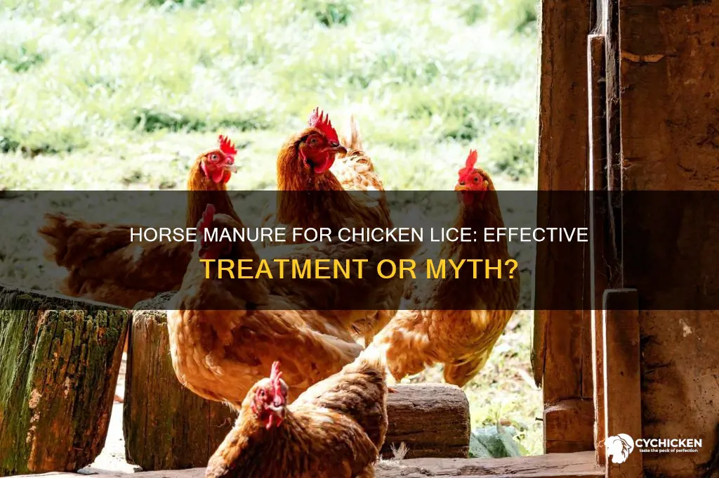 does horse manure help lice on chicken