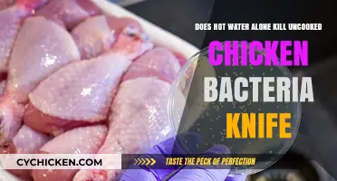 Hot Water: A Bacteria Killer?