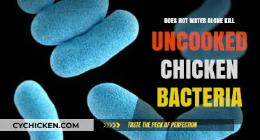 Can Hot Water Alone Eliminate Bacteria in Uncooked Chicken?
