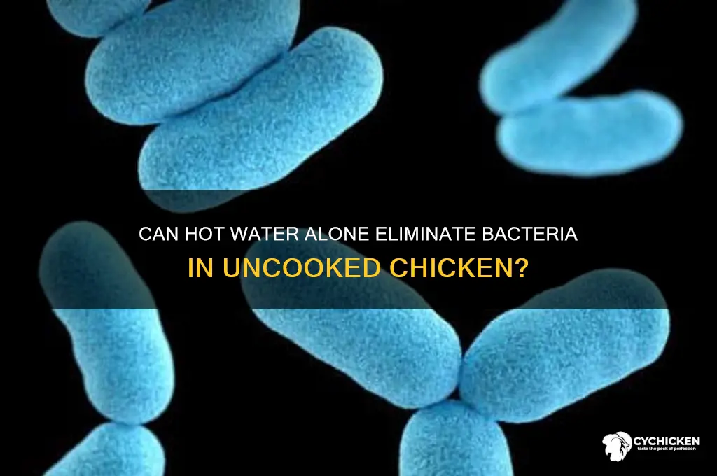 does hot water alone kill uncooked chicken bacteria