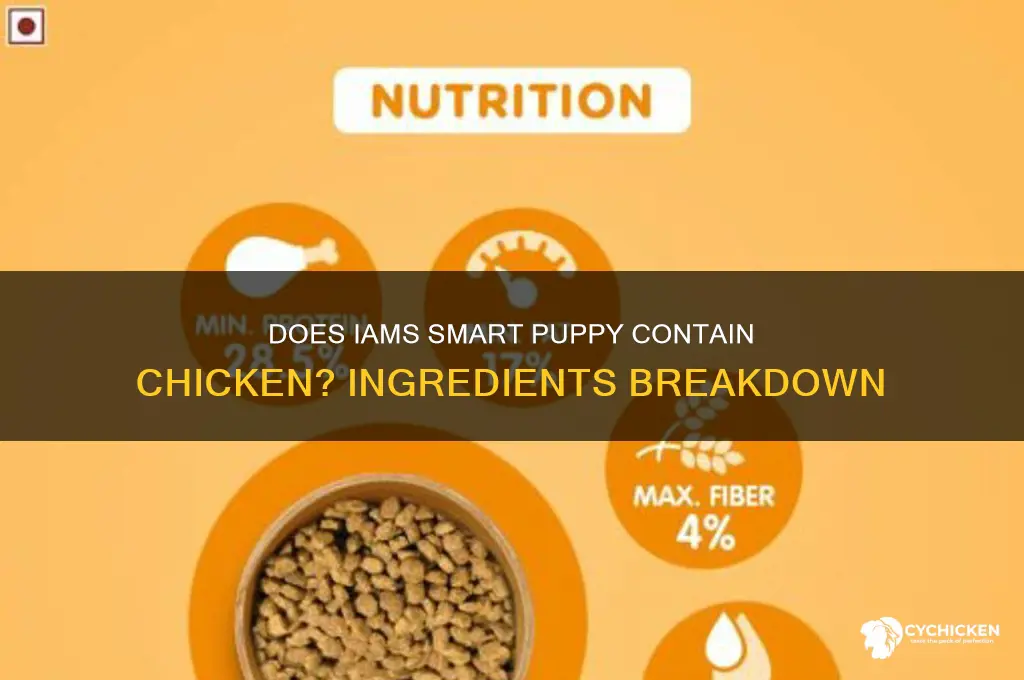 does iams smart puppy have chicken in it