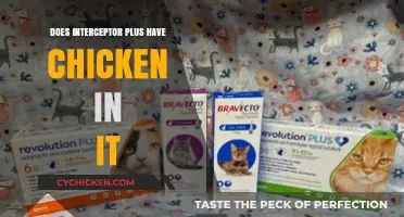 Interceptor Plus Ingredients: Does It Contain Chicken? Find Out Here