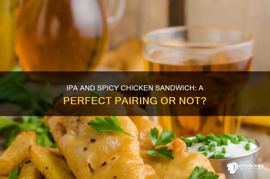 does ipa go with spicy chicken sandwich