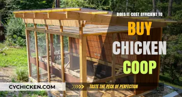 Is Buying a Chicken Coop Cost-Effective for Your Backyard Flock?