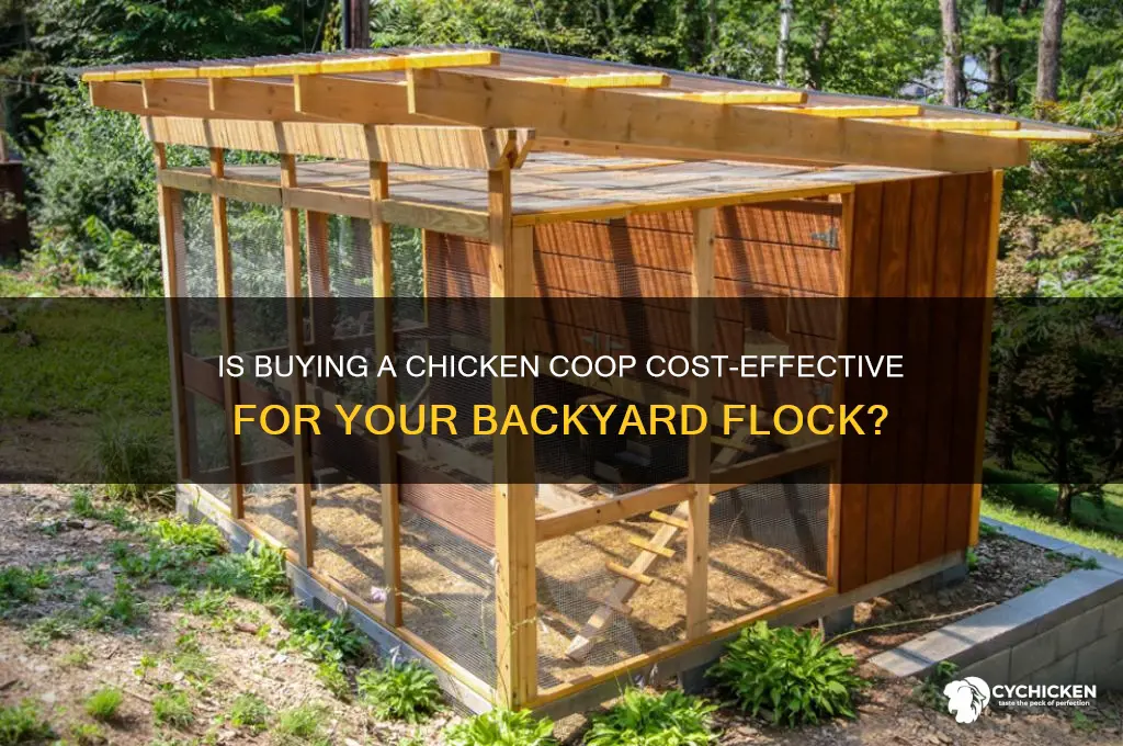does it cost efficient to buy chicken coop
