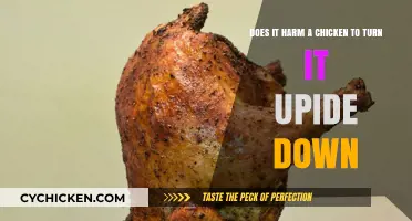 How Harmful is Upside-Down for Chickens?