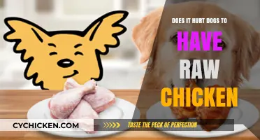 Raw Chicken for Dogs: Safe or Painful? Expert Insights
