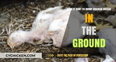 Chicken Grease: What's the Harm in Dumping it Outdoors?