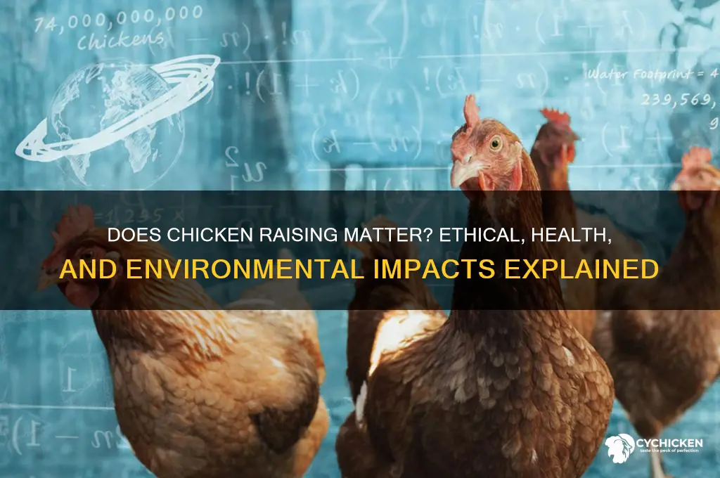 does it matter how a chicken is raised