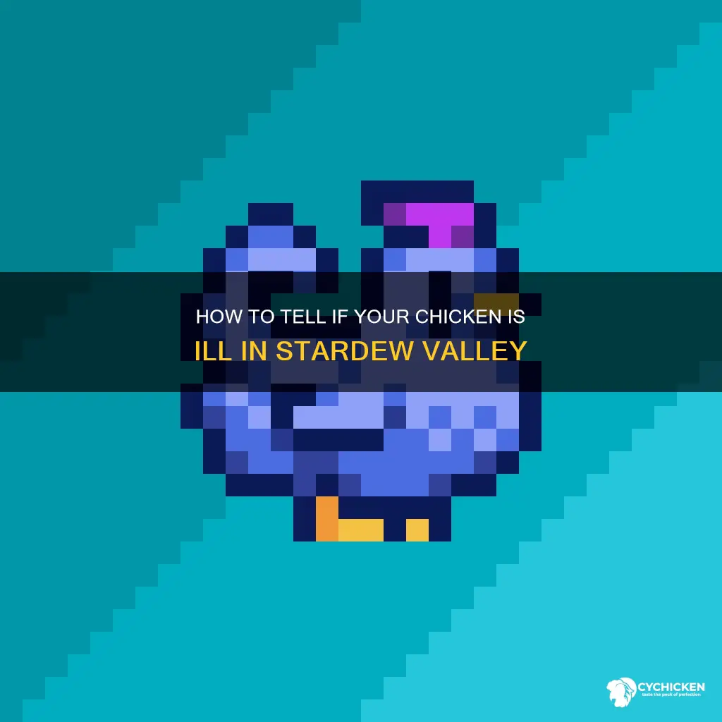 does it tell you ig your chicken is blue stardew